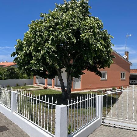 Moradia Alegre No Centro Da Vila Da Tocha. Kültér fotó