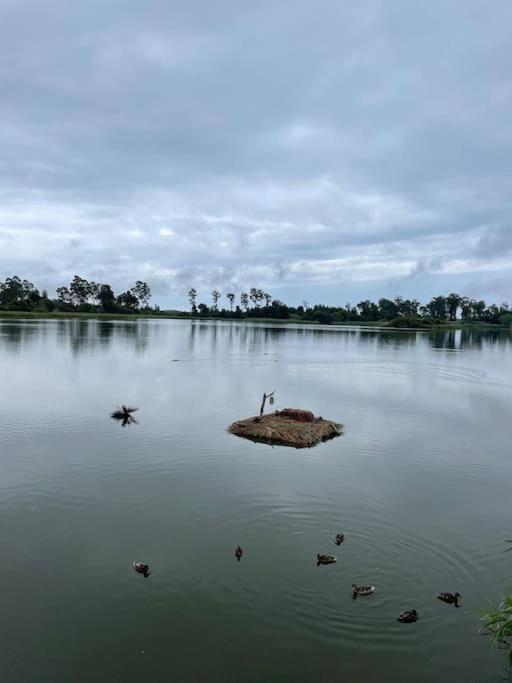 Moradia Alegre No Centro Da Vila Da Tocha. Kültér fotó